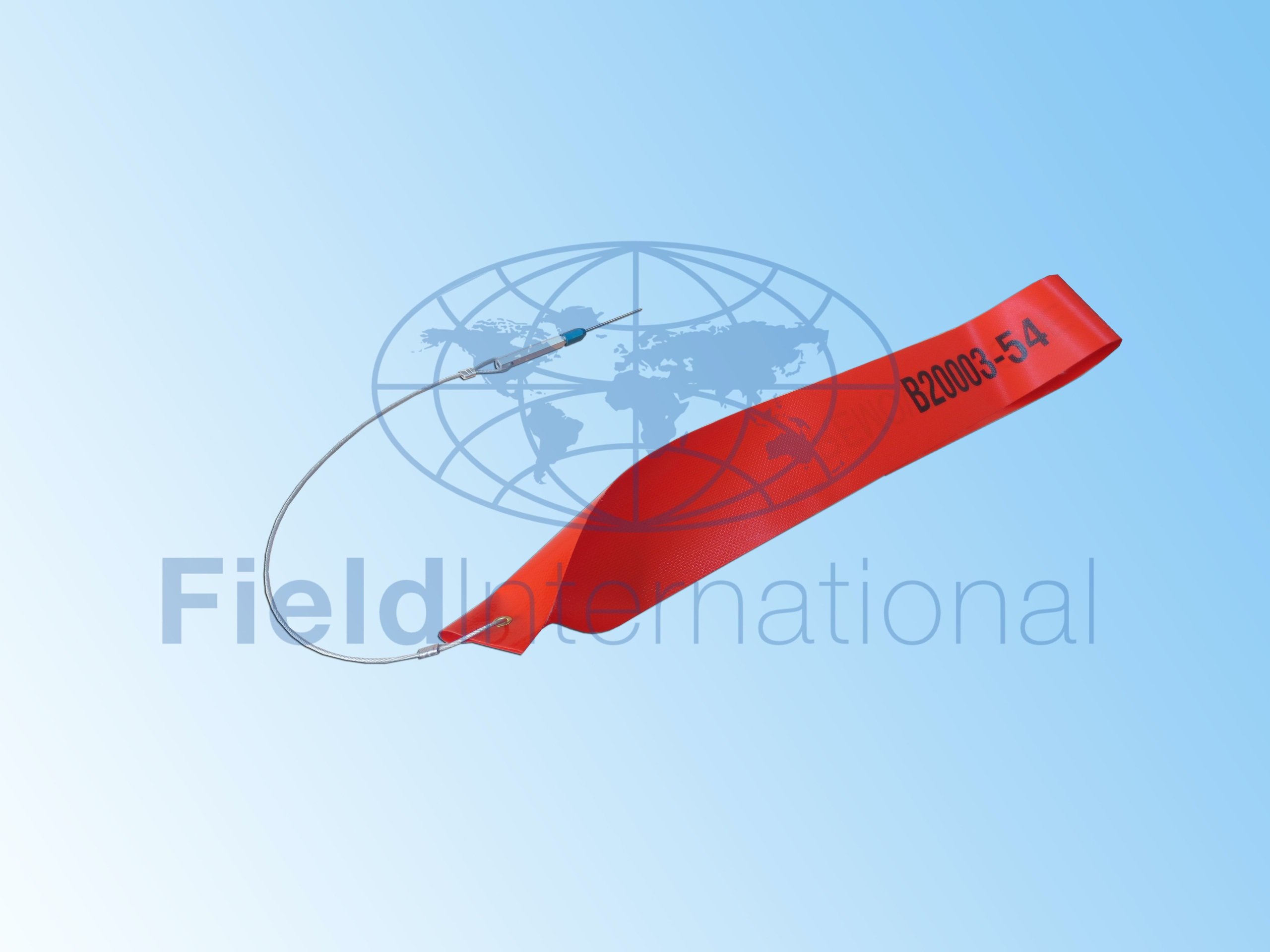 B20003-54 GAGE ASSY