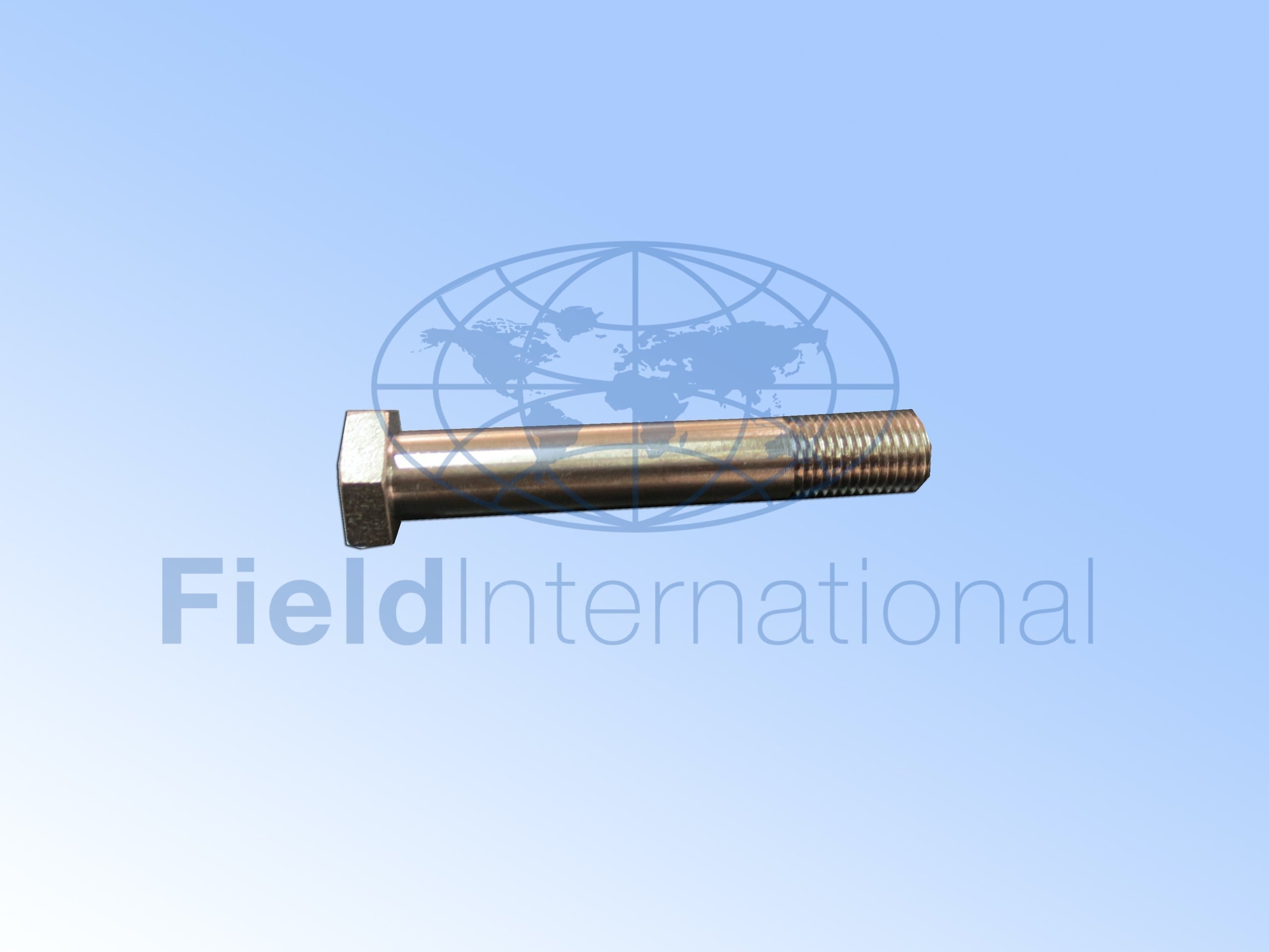 C07007-14 BOLT