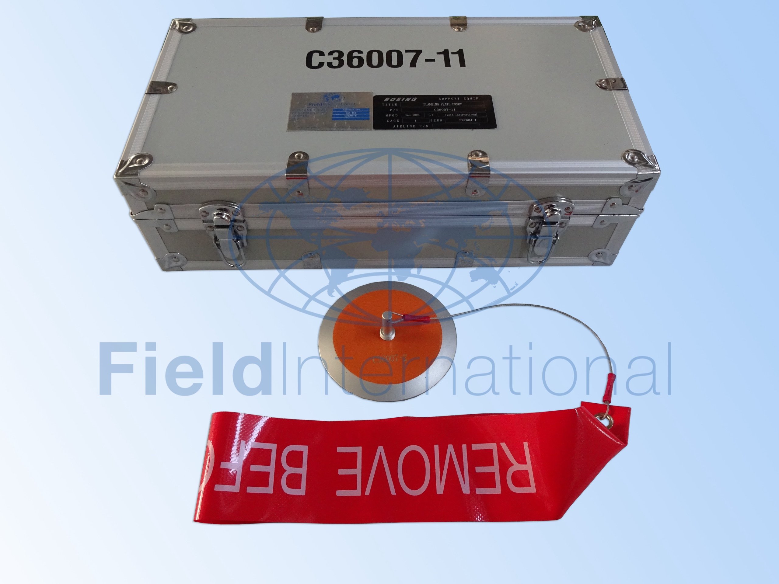 C36007-11 BLANKING PLATE