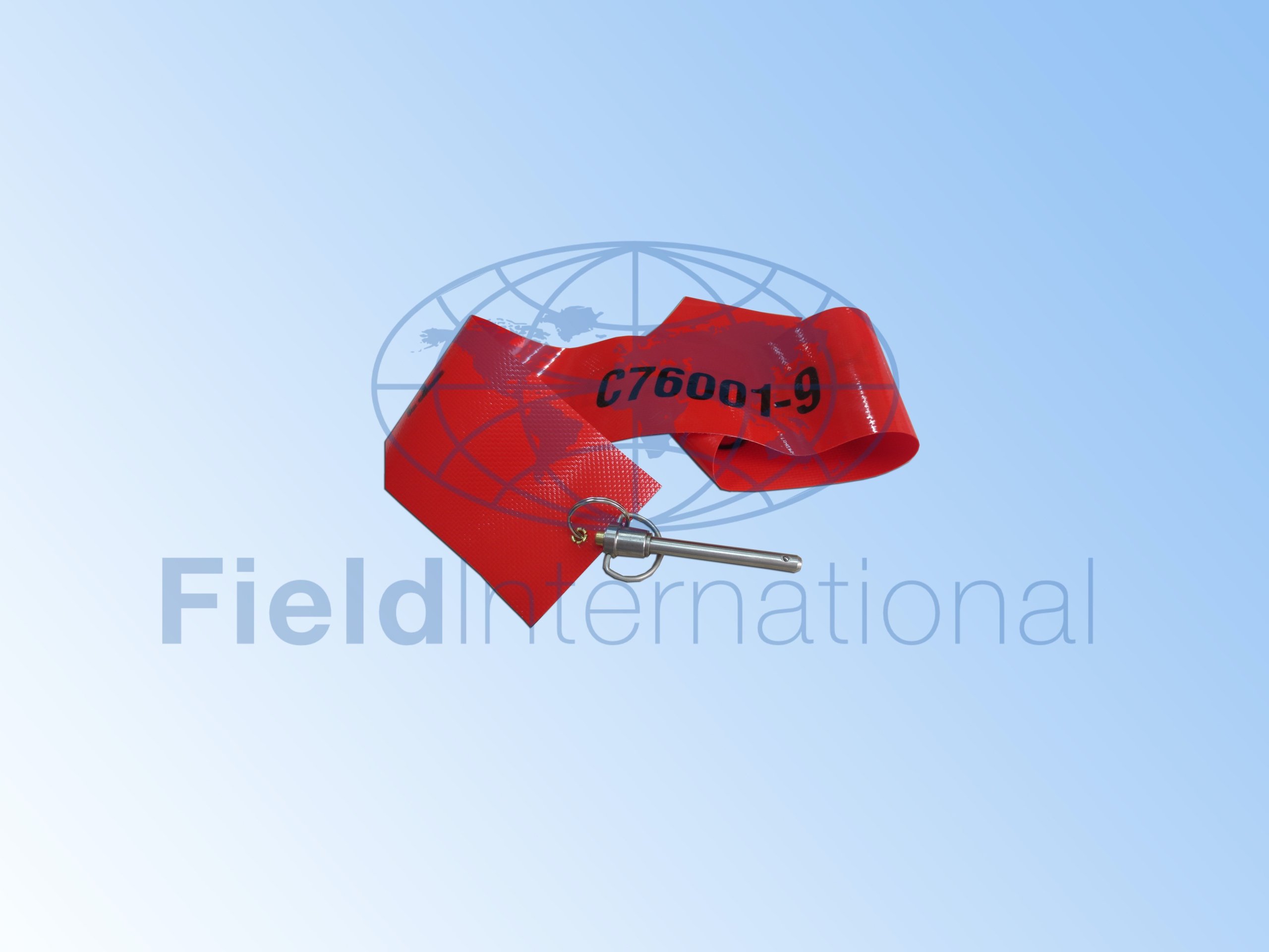 C76001-9 RIGGING PIN