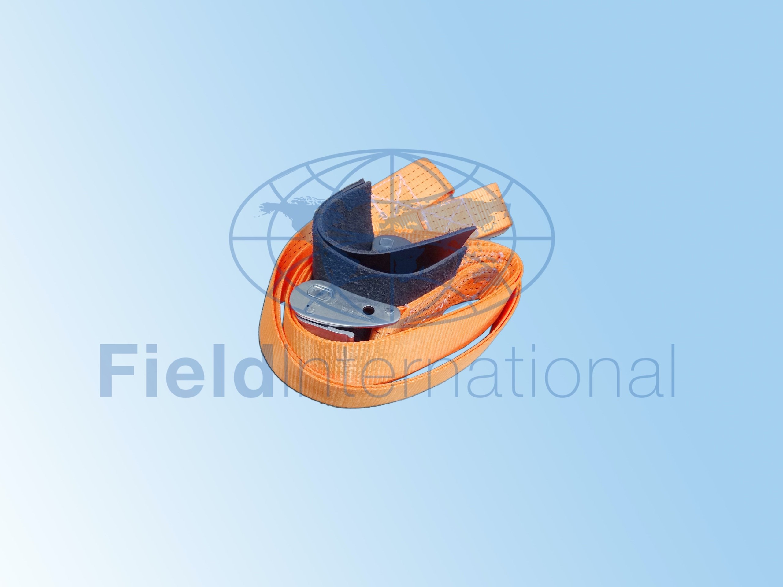 C78011-65 STRAP ASSY