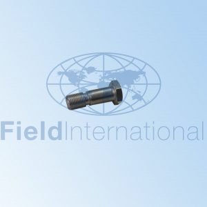 G71043-6 BOLT