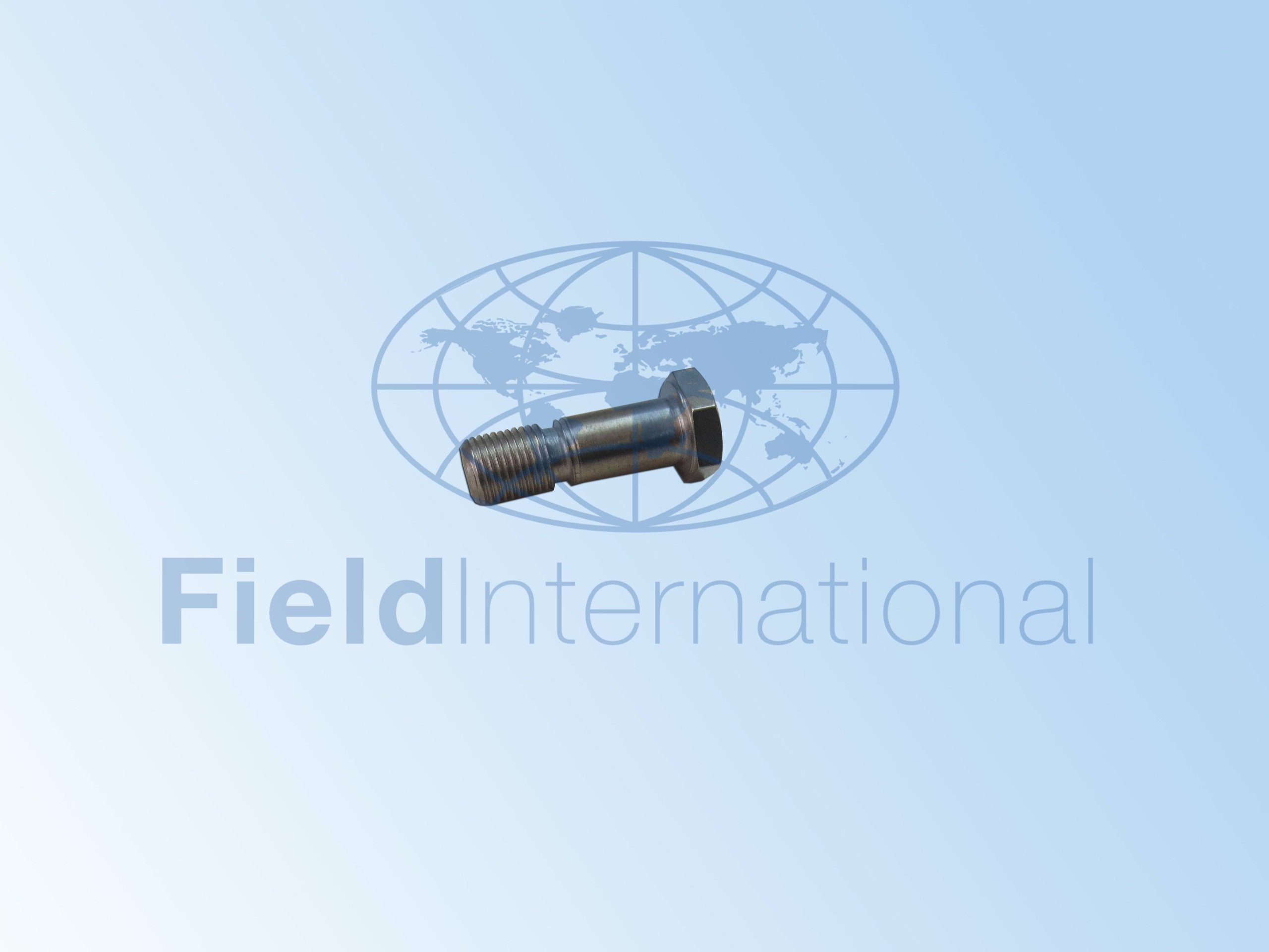 G71043-6 BOLT