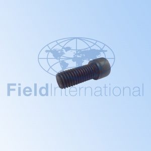 K21004-24 CAP SCREW