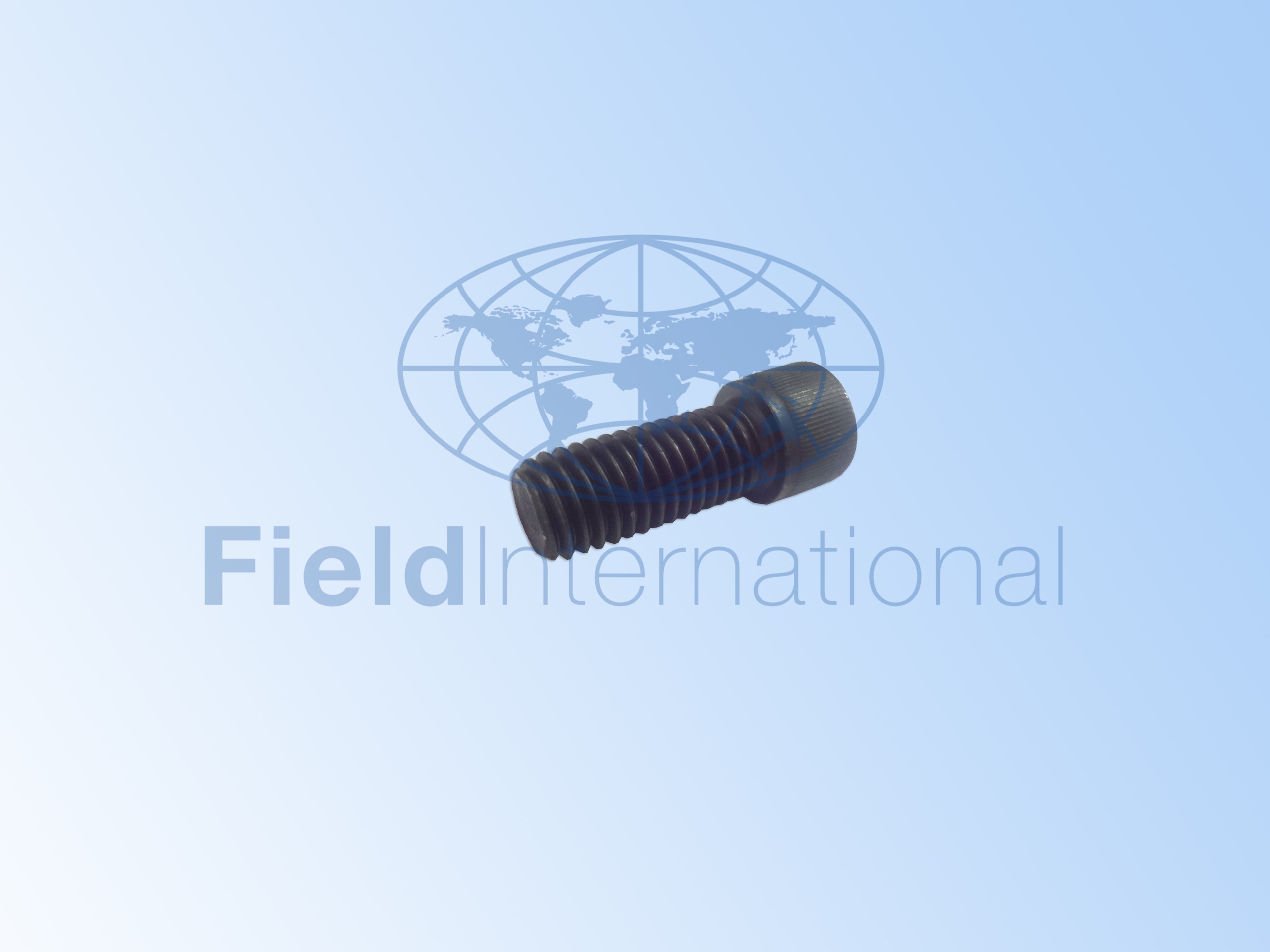 K21004-24 CAP SCREW